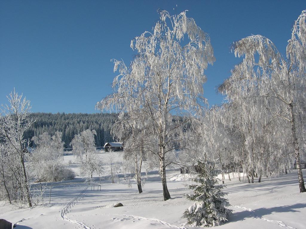 Penzion Ekosport Hotell Stachy Exteriör bild